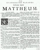 Mattheum (Matius) Ruyl